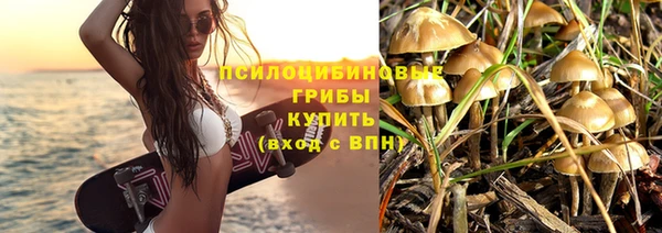 скорость mdpv Белокуриха