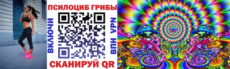 Псилоцибиновые грибы Magic Shrooms  Моздок 